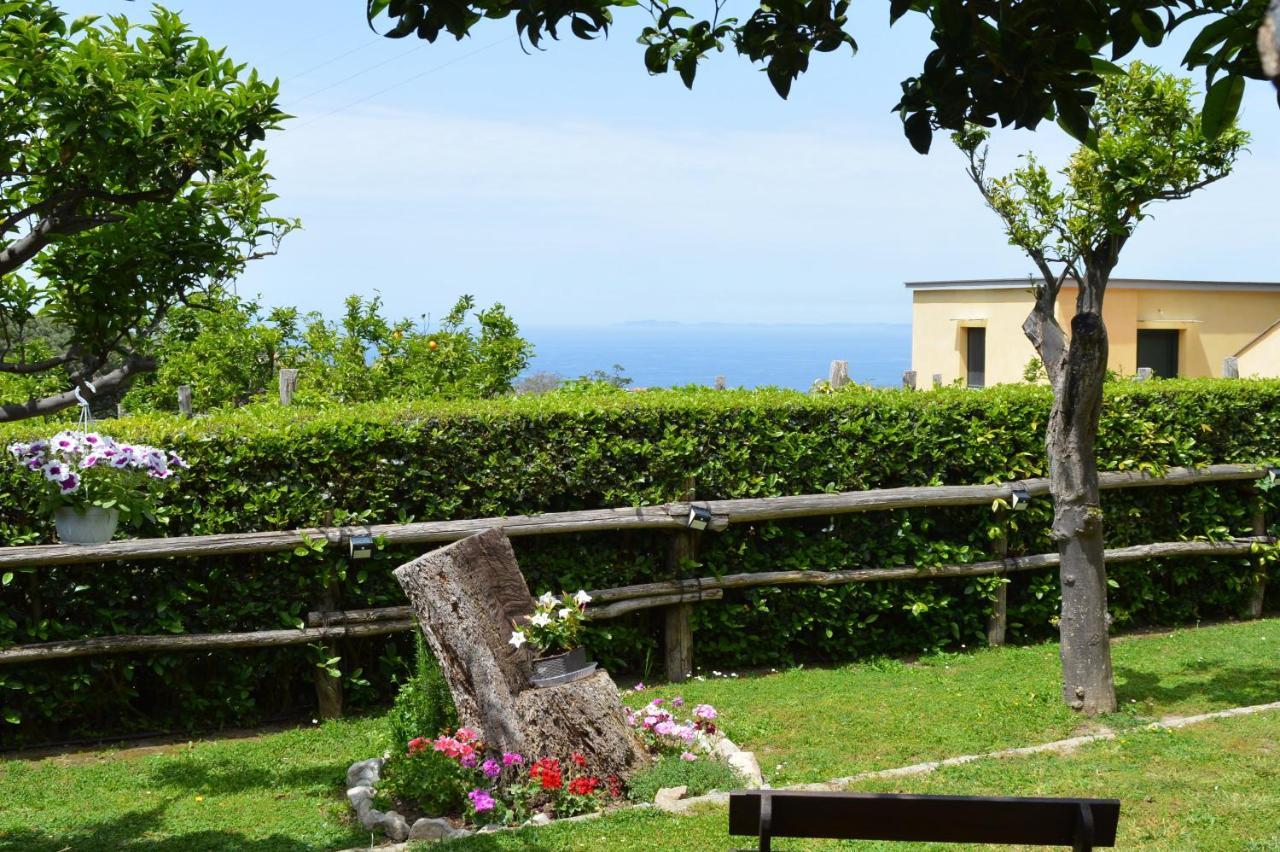 Sara'S Sweet Corner Bed and Breakfast Meta Εξωτερικό φωτογραφία