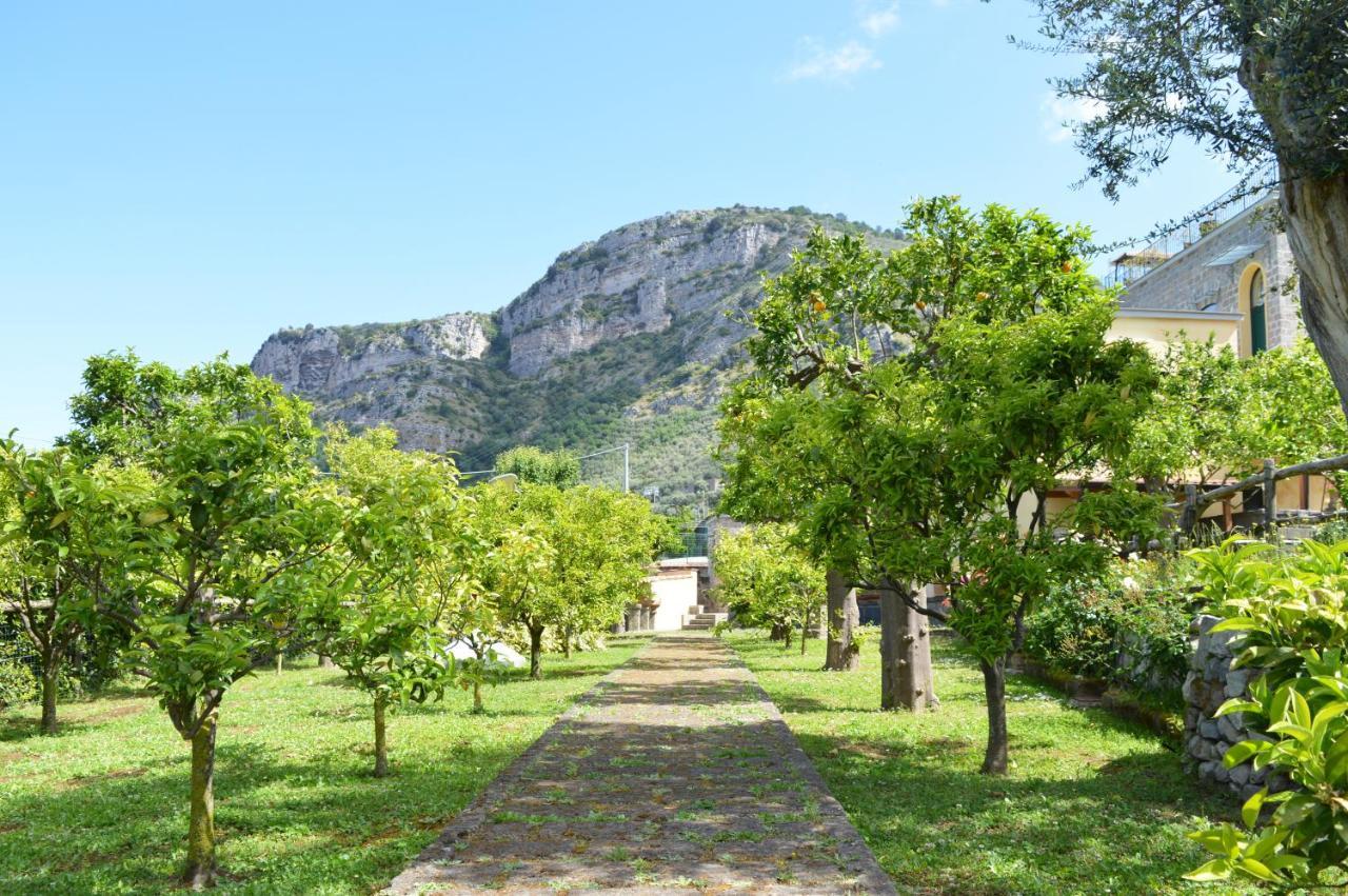 Sara'S Sweet Corner Bed and Breakfast Meta Εξωτερικό φωτογραφία