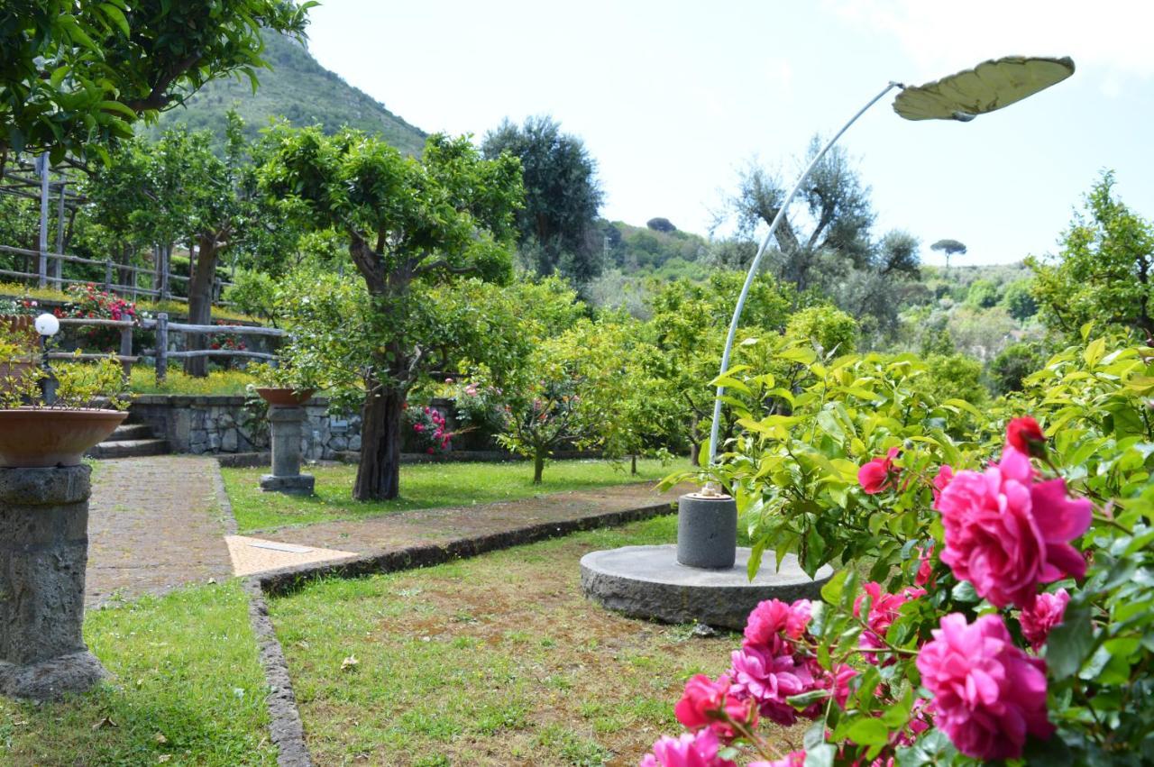 Sara'S Sweet Corner Bed and Breakfast Meta Εξωτερικό φωτογραφία